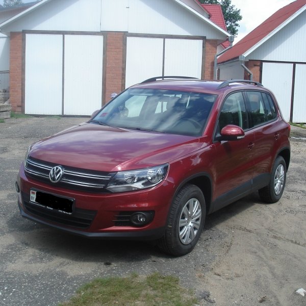 Нина Витебская обл.